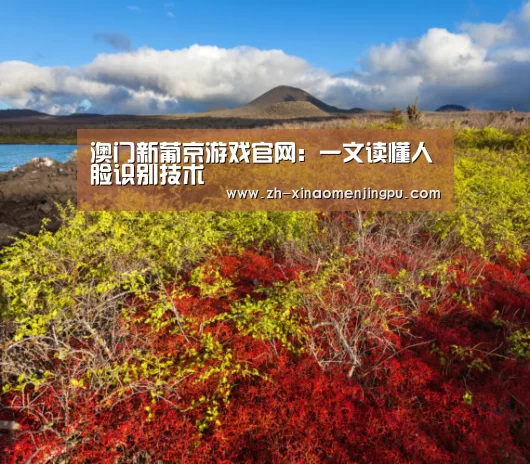 澳门新葡京游戏官网:一文读懂人脸识别技术(图1) 澳门新葡京游戏官网