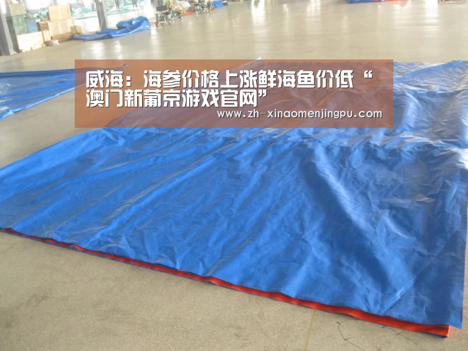澳门新葡京游戏官网