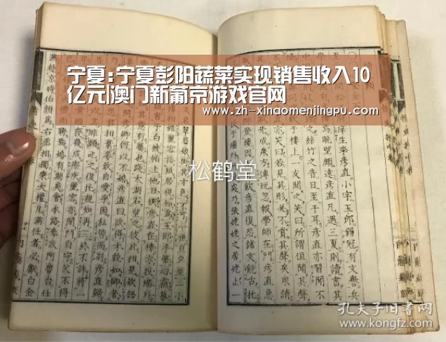 澳门新葡京游戏官网