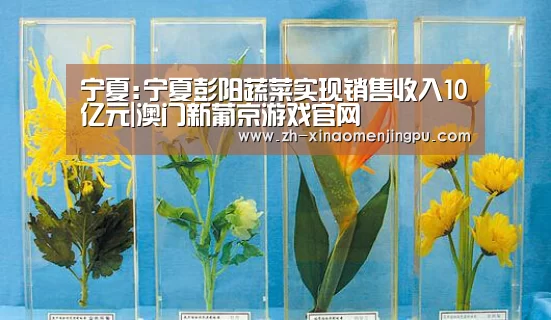 澳门新葡京游戏官网