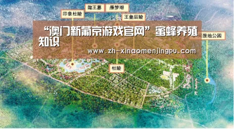 澳门新葡京游戏官网