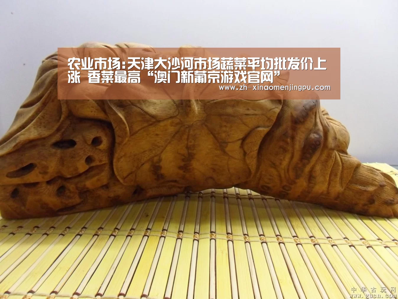 农业市场:天津大沙河市场蔬菜平均批发价上涨 香菜最高“澳门新葡京游戏官网”(图1) 澳门新葡京游戏官网