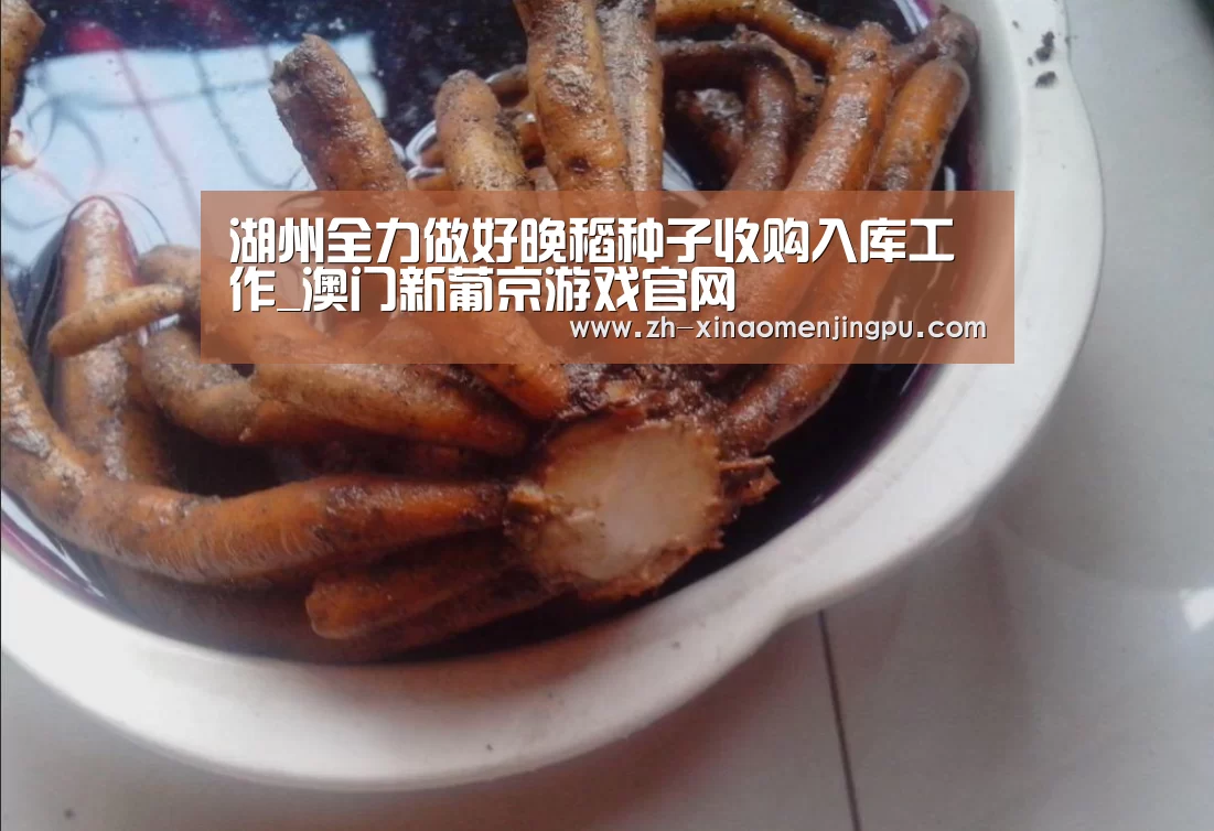 湖州全力做好晚稻种子收购入库工作_澳门新葡京游戏官网(图4) 澳门新葡京游戏官网