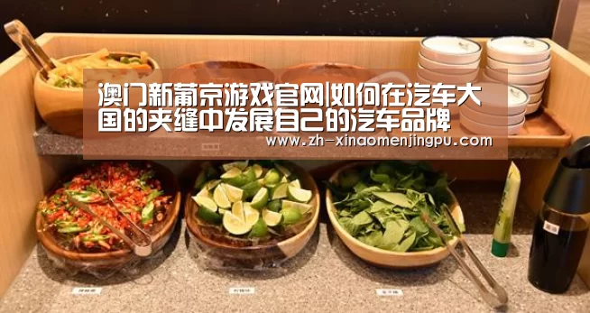 澳门新葡京游戏官网